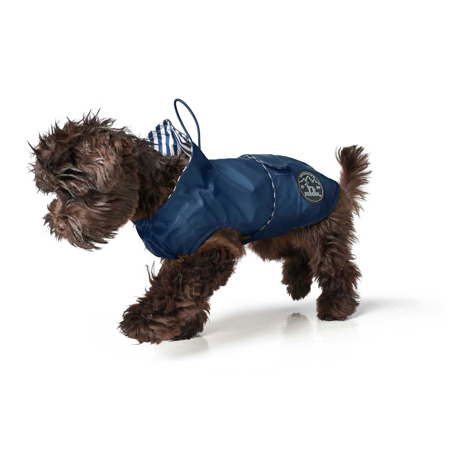 Hunter Imperm able pour chiens Milford bleu